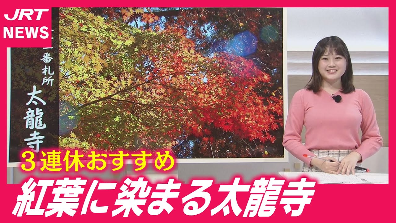 【マメテン】阿南市・太龍寺の絶景紅葉散歩