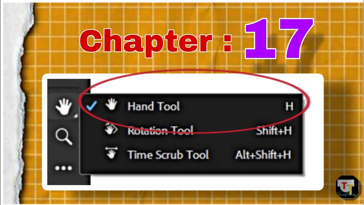 Adobe Animate Hand Tool Explained | Canvas Move & Navigation Tips in Hindi"
