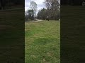 Live highlight
