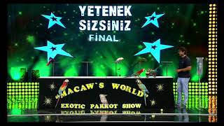 Evet Gençler Görüyorsunuz Anlatmaya Gerek Yok