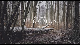A very gentle vlogmas — December 2, 2021