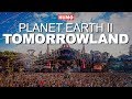 Planet Earth II: Tomorrowland (Parody)