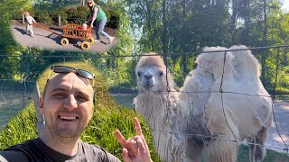 Веселый поход в Зоопарк в Эстонии