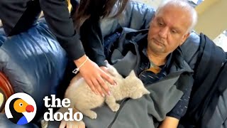 Dad Does NOT Want Cats In His Home | The Dodo