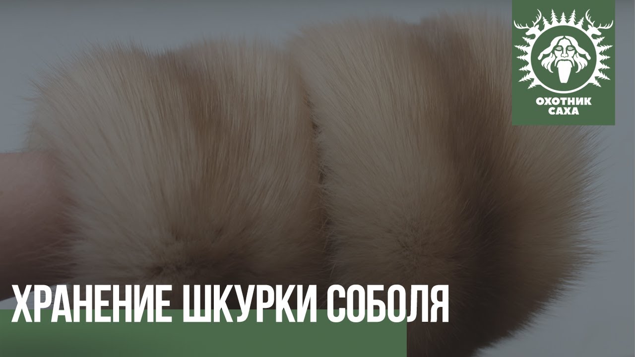 Хранение шкурки соболя