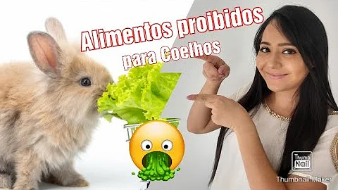Quais frutas O coelho come?