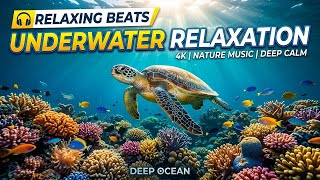 Tranquil Ocean Night 🌅 • Relaxation Music for Sleep 😌 • Soft Waves and Ambient Echo 🌊