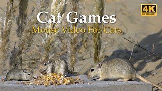 Cat TV -Mouse playing hide and seek, Squabble over food  - 10 Hours Video for Cats - Cat TV Mice by Awesome Nature  5,651 views 3 months ago 10 hours
