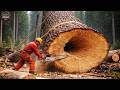 Extreme Chainsaw Skills: Dangerous Giant Tree Cutting | Monster Stump Removal Machines #5