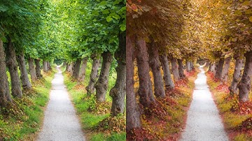 Autumn Effect in GIMP