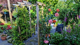 June Garde Tour 2026/ How my UK home garden is doing in June 2026 at the end of spring 