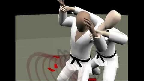 Aikido - 4th Kyu [D]