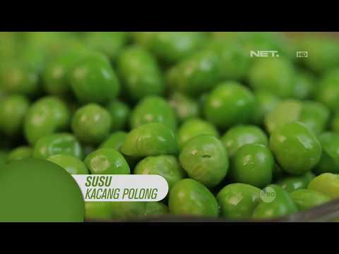 Video: Kacang Hijau, Kacang Polong, Kacang & Co