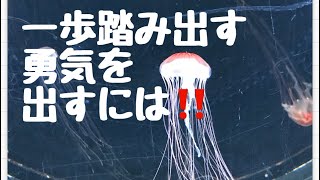 小池浩youtube 「宇宙の仕組みのお話し」Vol.27「一歩踏み出す勇気を持つには‼️」