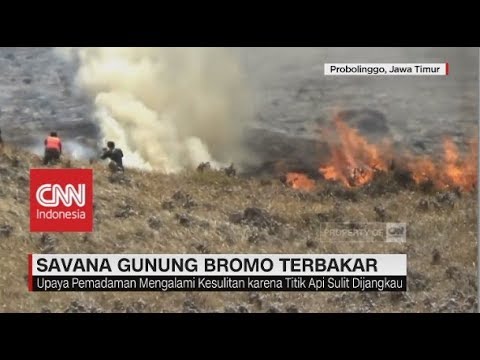 Savana Gunung Bromo Terbakar