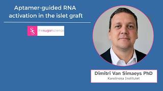 Aptamer-guided RNA Activation in the Islet Graft - Dimitri Van Simaeys PhD