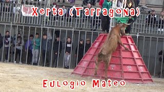 Eulogio Mateo, Xerta (Tarragona) 13-11-2021