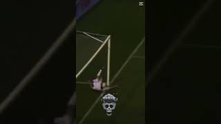 Golazos #viral #goles #golazo #futbol