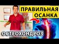 🔥 Лучший комплекс при остеохондрозе шейного и грудного отдела позвоночника – результат через неделю