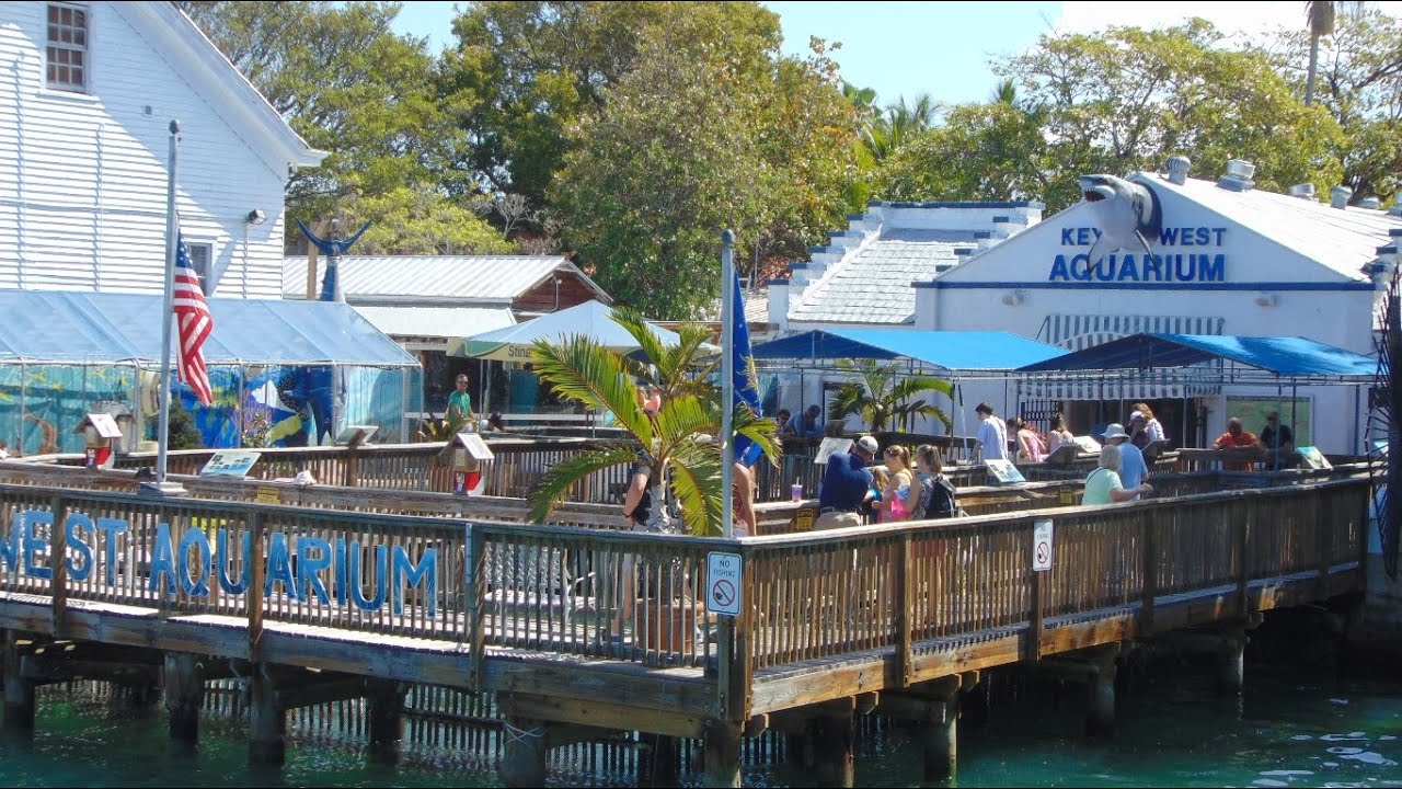 Key West Aquarium tour video [HD]