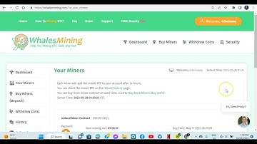 Whale Mining Withdraw