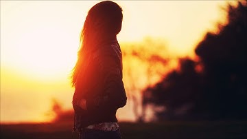 The Ambientalist - Empty Promises