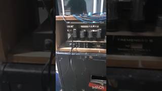 100W all tube vintage Brazilian amp 4x12 cab #giannini #guitar #amplifier #rig #music #loud