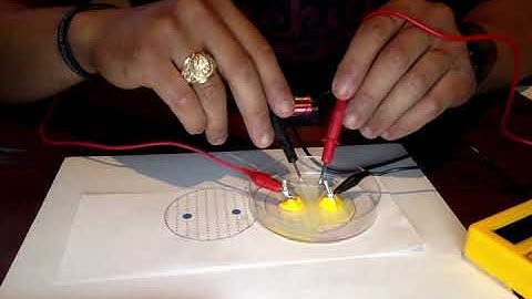 Mapping Electrical Potentials