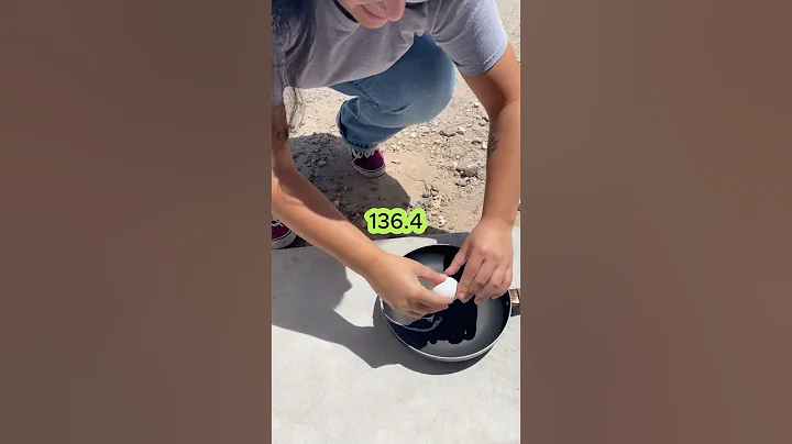 The highest temperature ever recorded on Earth