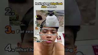 Funny Animal Look Alike  Moments #shorts