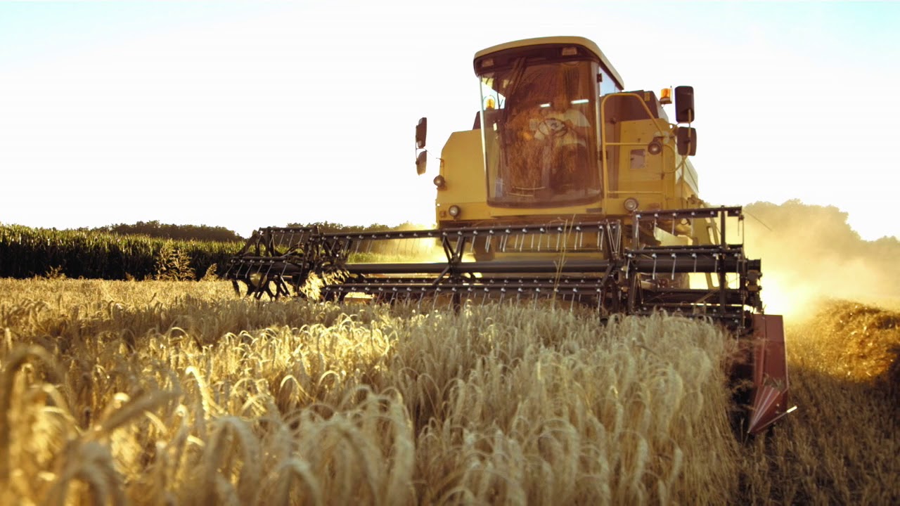 Stepan Alkoxylates Overview