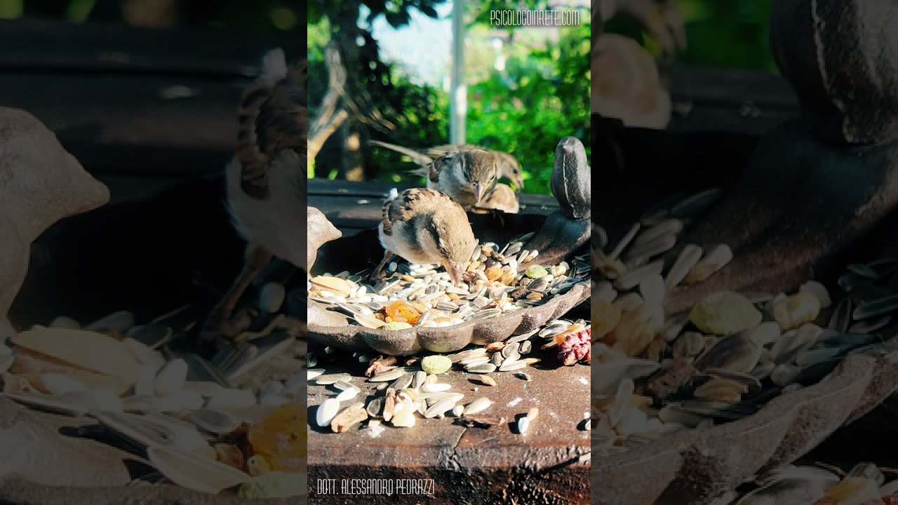 Il Tavolo dei bambini e la Frustrazione Necessaria - Perché Dire NO aiuta i tuoi figli