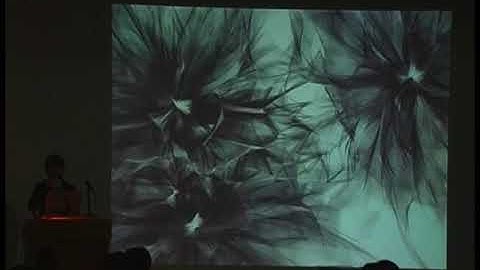 Casey Reas (March 19, 2007)