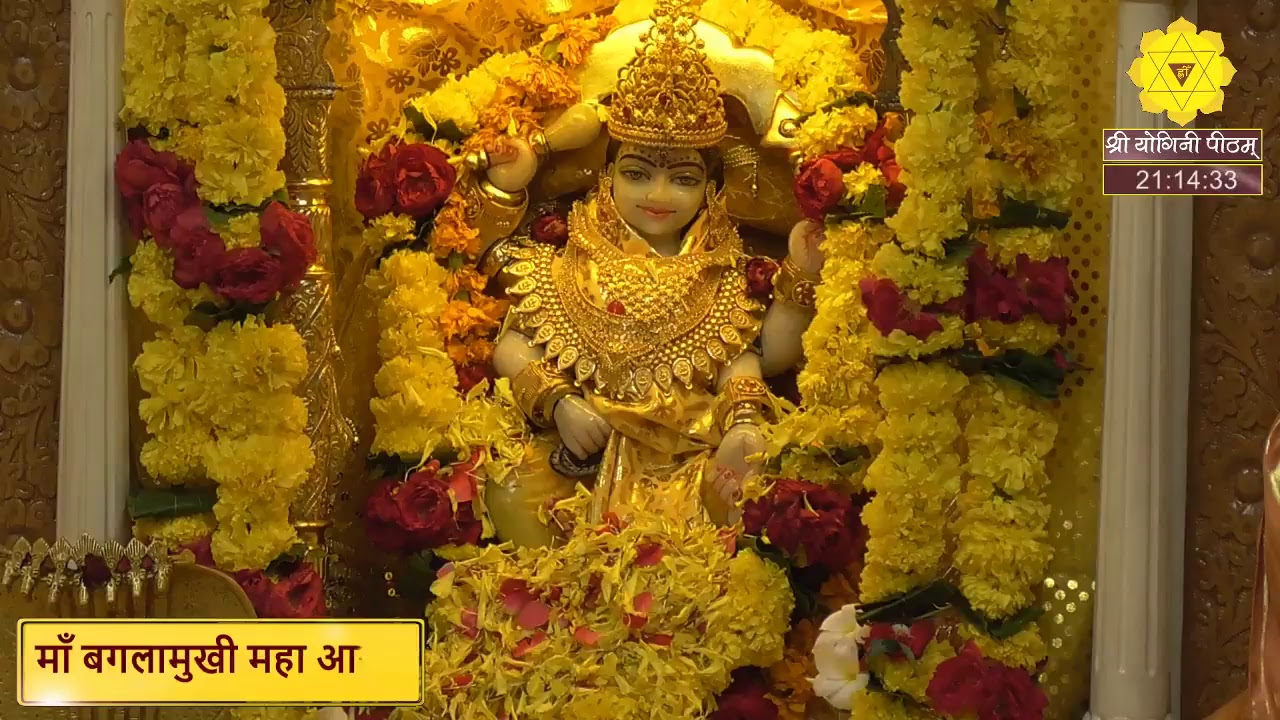 माँ बगलामुखी आरती पूजन कवच एवं सिद्ध मंत्रों का पाठ एवं लाइव दर्शन करिये