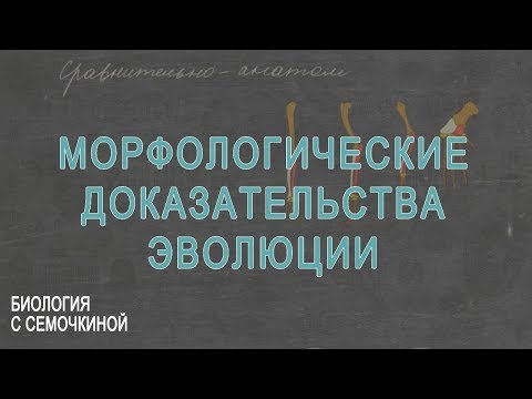 Морфологические доказательства эволюции