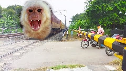 Monkey Headed Monster Wap4 Hauled Aggressive TEESTA-TORSA Express Dangerous Moving Out At Railgate