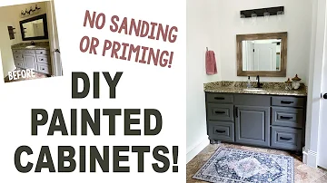 How to Paint Cabinets with NO Sanding or Priming!