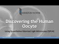 Discovering the Human Oocyte