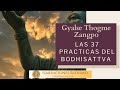 Las 37 Prácticas de Los Bodhisattvas ~Gyalse Thogme Zangpo~