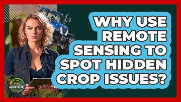 Why Use Remote Sensing To Spot Hidden Crop Issues? - The World of Agriculture