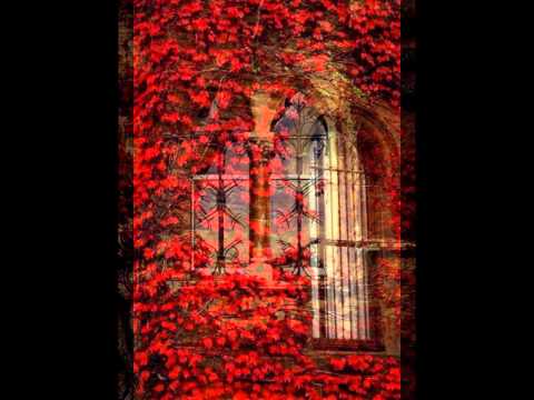 The Green House / სახლი მწვანეში