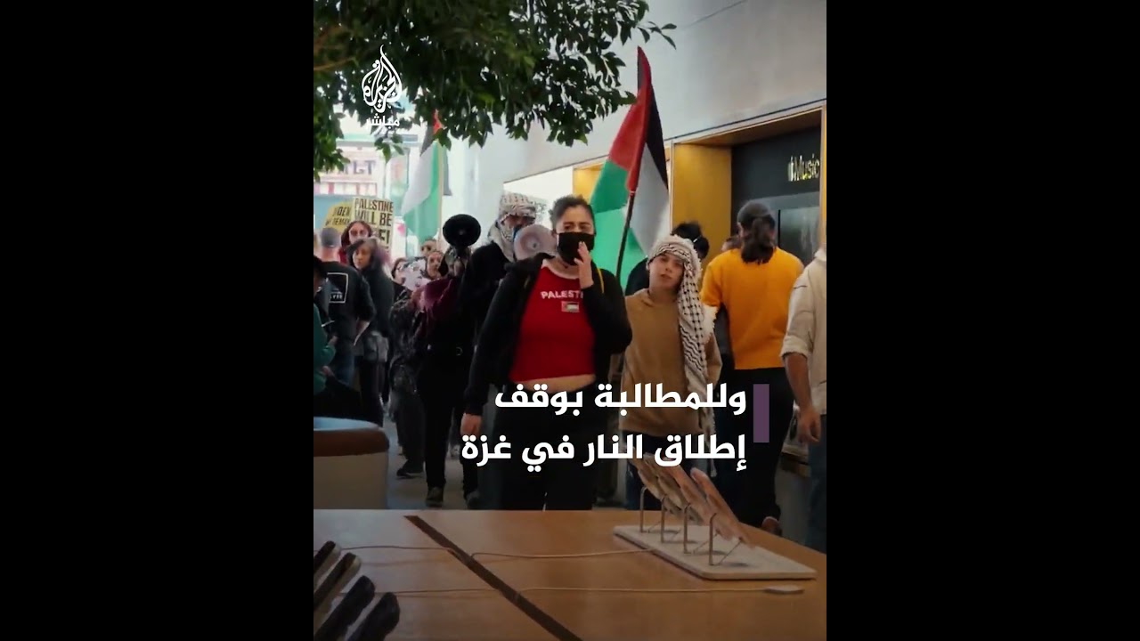 رغم التخفيضات.. مظاهرة في مجمع تجاري بأمريكا تضامنًا مع فلسطين