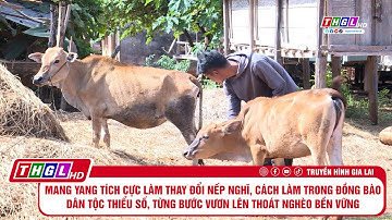 Mang Yang tích cực làm thay đổi nếp nghĩ, cách làm trong đồng bào DTTS