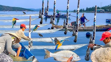 Độc Đáo Nghề Chong Đèn Dầu Chắn Cá Trên Đầm Ô Loan║Hồ Nước Lợ Lớn Nhất Phú Yên Cũ