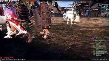 [Vindictus EU] Bug #2 Swimming Weapon Take 2