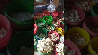 Plumber Fitting Material