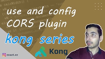 kong API gateway deploy using CORS plugin declarative mode in docker environment - episode 2