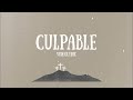 CULPABLE (Videolyric Oficial) - Michelle Matius
