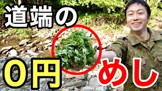 【ほぼ０円飯】道端で摘んだヨモギを１０秒でアク抜き調理！【おまけ回】