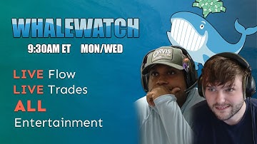 WhaleWatch Ep. 1: Options Flow Traders Take REAL Trades using Unusual Whales LIVE